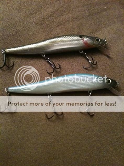 Question for the Megabass experts .